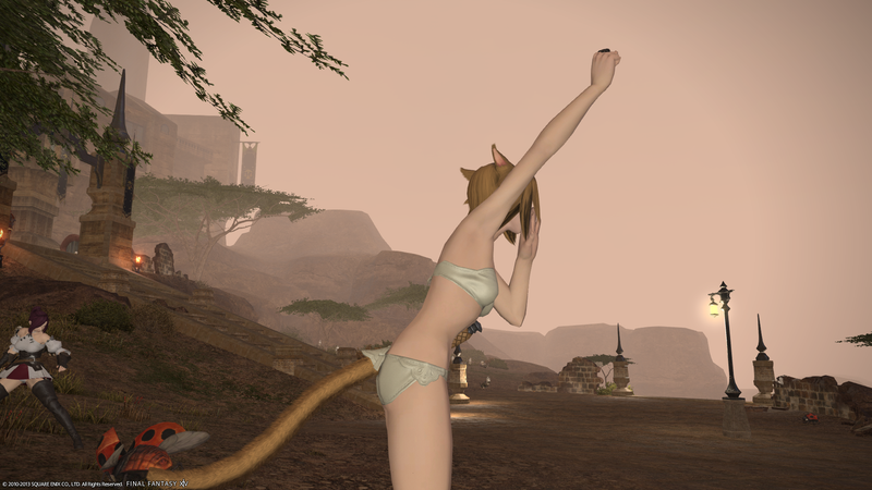 Illustration for article titled Catgirl Butts In Final Fantasy XIV Not Good Enough For Some Players